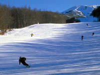 Le piste del Cimone