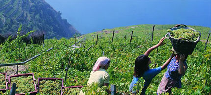 Cinque Terre più comode con le due card