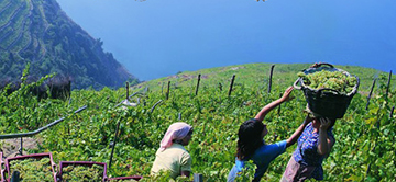 Escursioni guidate nel Parco delle Cinque Terre