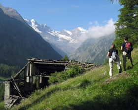 Nordic walking in "Paradiso"