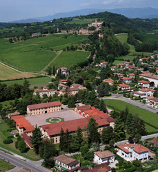Veduta aerea della cantina, dei vigneti e del castello sullo sfondo