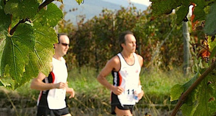 Di corsa in Collio 1 Di corsa in Collio