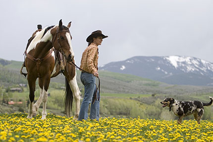 selvaggio west cow boy in Colorado