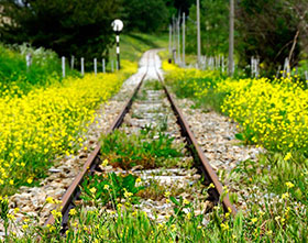 Presente e futuro del viaggiar lento