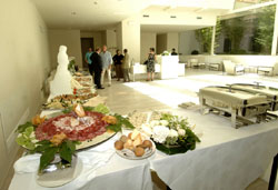 Che palle queste “serate” negli alberghi milanesi! 1 In attesa del buffet