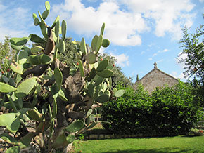 Agriturismo Dimora di charme Montepaolo