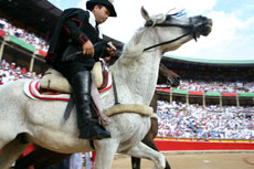 Feria di San Fermìn, ultimo atto