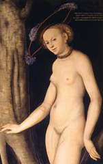 Lucas Cranach, Venere e Amore che reca il favo di miele,
1530 (dettaglio) Galleria Borghese
Roma