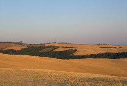 Paesaggio senese