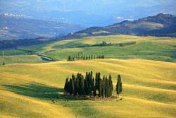 Crete Senesi