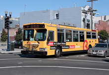Dai musei del centro al Golden Gate Park fino alla Legion of Honor e ritorno 
