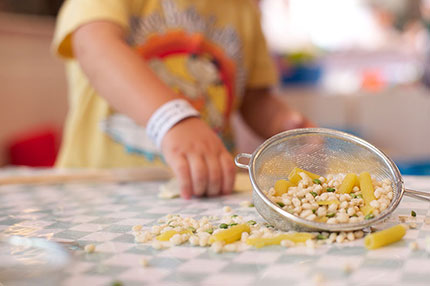 Chef in erba a Modena