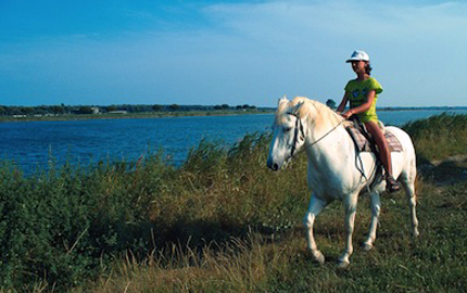 Itinerari a cavallo sulle rive del Po