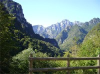 Foto: Enrico Vettorazzo