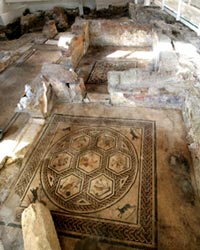 Domus del Chirurgo