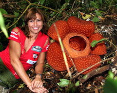 Donnavventura in Malesia