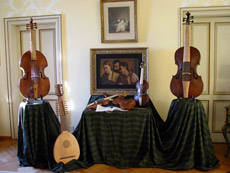 Gli strumenti musicali in mostra nelle sale del castello