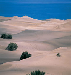 Le dune di Maspalomas