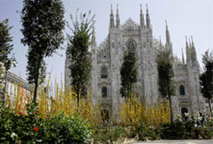 Il miraggio di Piazza Duomo alberata 