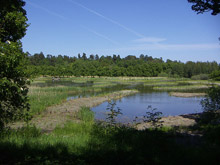Stoccolma, Ecopark
