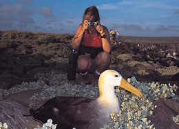 La passione per l'ecologia può fare danni all'ambiente 6 Ecoturismo Birdwatcher in azione