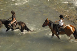 A scuola di equitazione in Carnia