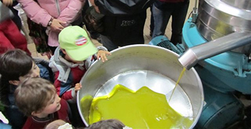 Una domenica in fattoria