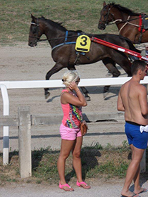 Nella Bassa Ferrarese, tra "tajadèl" e corse al trotto 2 Ippodromo agostano