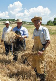 In Irpinia per la Festa del Grano