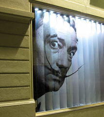 Salvador Dalì in vetrina