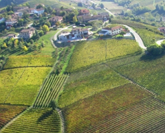 Adotta un filare nelle Lanze 4 Adotta un filare nelle Lanze