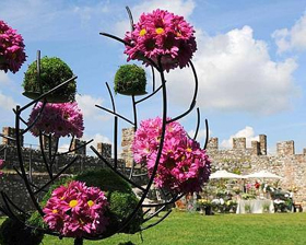 La stagione dei fiori in tre giardini