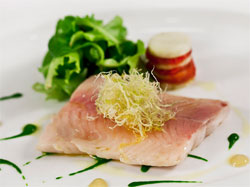 Fish & Chef sul Lago di Garda