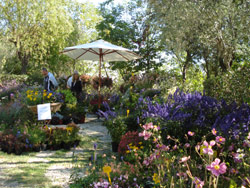 La scorsa edizione di Florea