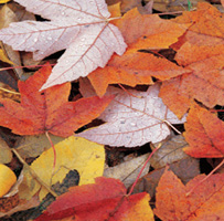Andar per parchi e riserve naturali 6 Andar per parchi e riserve naturali