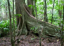 Lastminute.com promuove i viaggi a impatto zero