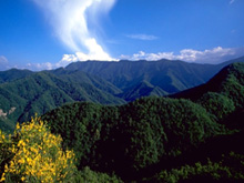 Parco Nazionale Foreste Casentinesi (Foto: Parks.it)