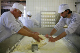 Sala di lavorazione dei formaggi