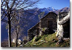 Vecchie baite all'Alpe Ai Curt