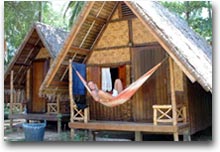 Koh Phangan Bungalow all'ombra delle palme