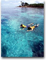 Koh Phangan Snorkeling in un mare trasparente