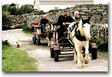 Inishire, Isole Aran