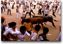 Pamplona, correre con “los toros”