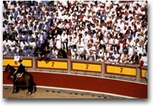 Pamplona, correre con “los toros”