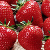 Nel regno delle fragole