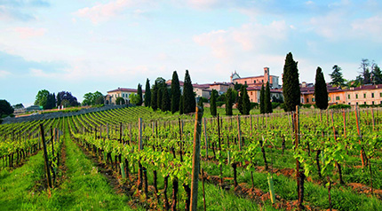 Franciacortando di gusto 4 Franciacortando di gusto
