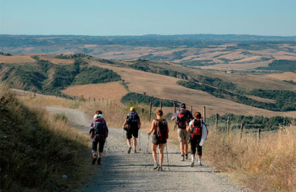 A piedi lungo il tratto senese della Via Francigena