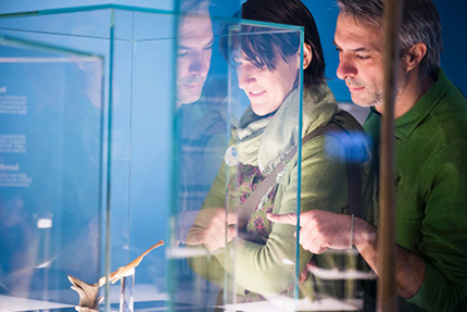 Frozen Stories. Cosa ci raccontano ancora i ghiacciai alpini