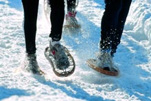 Corsa podistica (Foto: Alessandro Gardini)