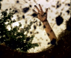 Anna Gaskell, Future's Eve, 2000